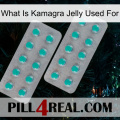 What Is Kamagra Jelly Used For 29